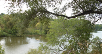 Waterfall Building sits just east of Humber River and many of its apartments overlook the greenery surrounding the water