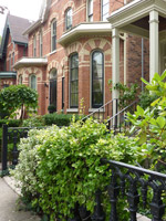 Victorian houses in Toronto Midtown locations are often attached on two sides - a typical Victorian row. Many feature original Victorian details.