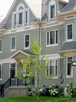 Attached homes are also called townhouses or row houses. Many new townhouses were built on the former Woodbine racing track grounds.