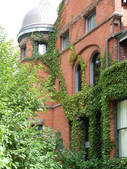 Rosedale has many grand Victorian houses with fantastic brickwork