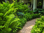 Groundcovers help in lowering water use by home owners